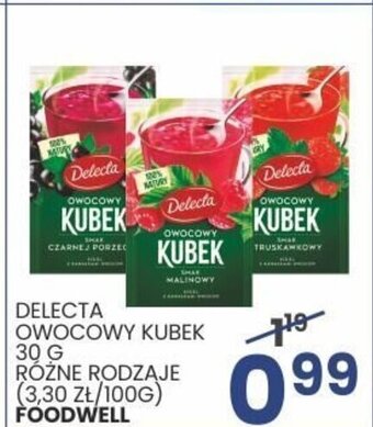 Wafelek DELECTA OWOCOWY KUBEK 30 G FOODWELL oferta