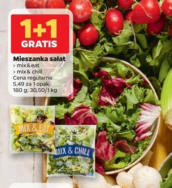 Netto Mieszanka sałat oferta