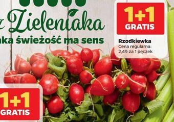Netto Rzodkiewka oferta