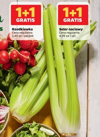 Netto Seler naciowy oferta