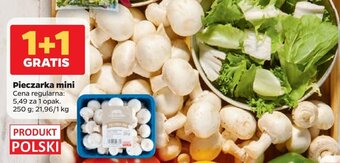 Netto Pieczarka mini oferta