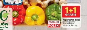 Netto Papryka Tri-Color 500g oferta