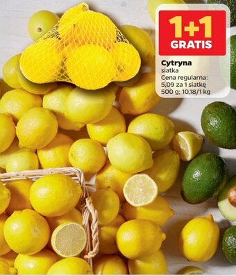 Netto Cytryna 500g oferta