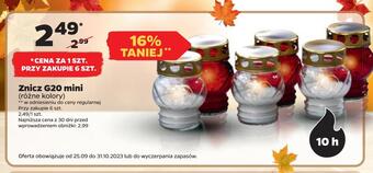 Netto Znicz g20 mini oferta