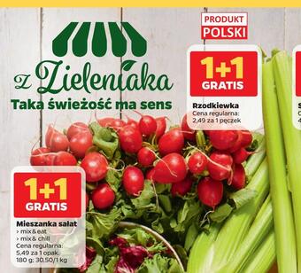 Netto Rzodkiewka oferta