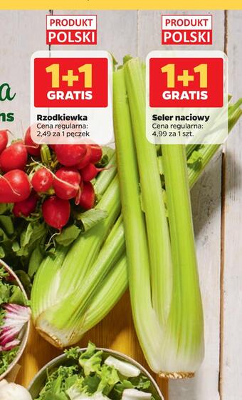 Netto Seler naciowy oferta