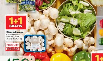 Netto Pieczarka mini oferta