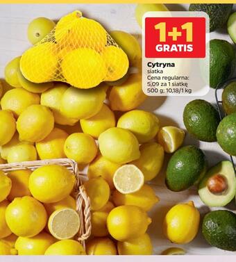 Netto Cytryna oferta