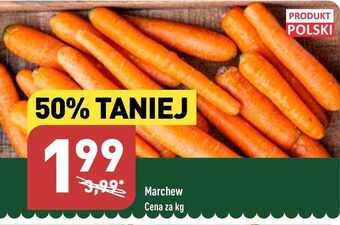 ALDI Marchew oferta