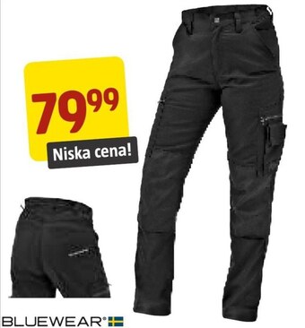 Jula Spodnie damskie bluewear oferta