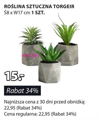 JYSK ROŚLINA SZTUCZNA TORGEIR oferta