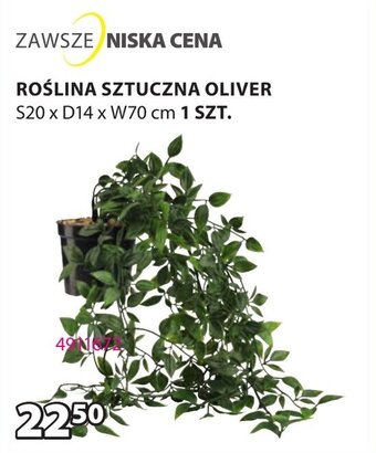 JYSK ROŚLINA SZTUCZNA OLIVER oferta
