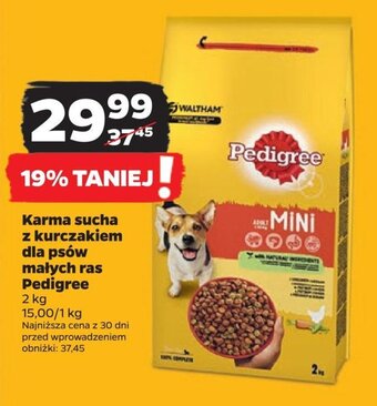 Netto Karma sucha z kurczakiem dla psów małych ras Pedigree 2kg oferta