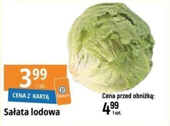 E.Leclerc Sałata lodowa 1 szt. oferta