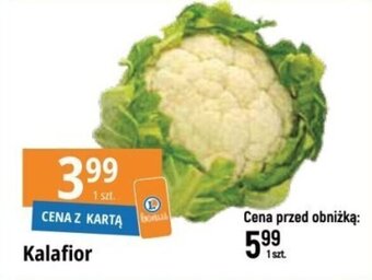 E.Leclerc Kalafior 1 szt. oferta