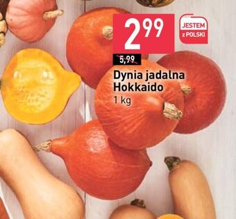 Stokrotka Dynia jadalna Hokkaido 1 kg oferta