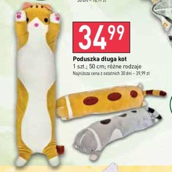 Stokrotka Poduszka długa kot 1 szt. oferta