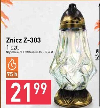 Stokrotka Znicz Z-303 oferta