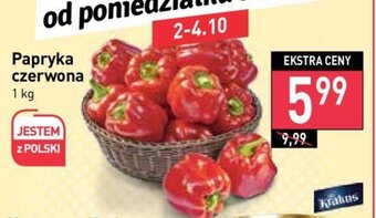 Stokrotka Papryka czerwona 1 kg oferta