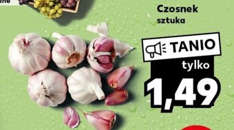 Kaufland Czosnek 1szt oferta