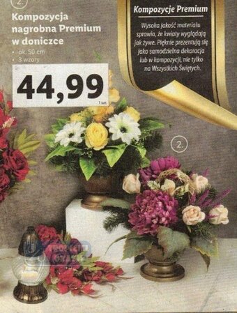Lidl Kompozycja nagrobna Premium w doniczce oferta
