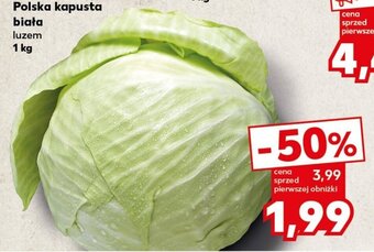 Kaufland Polska kapusta 1kg oferta