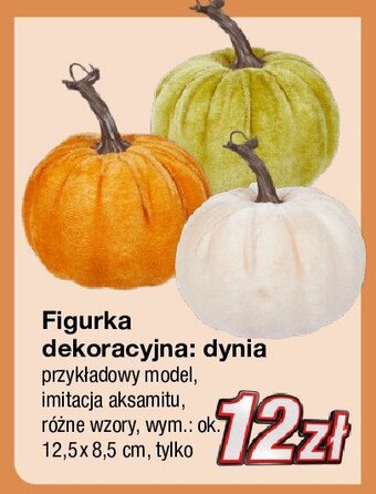 KiK Dynia dekoracja oferta