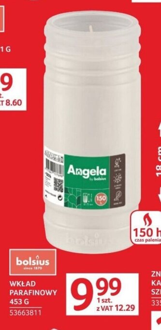 Selgros WKŁAD PARAFINOWY 453 G oferta