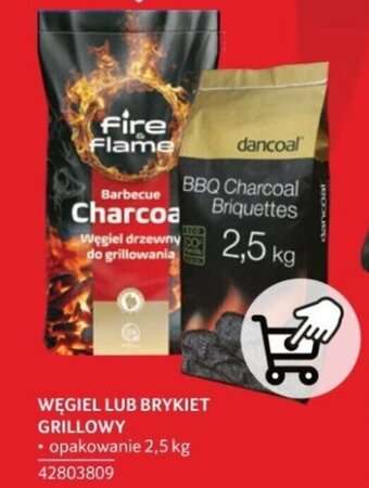Selgros WĘGIEL LUB BRYKIET GRILLOWY 2,5 KG oferta
