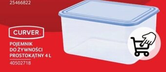 Selgros CURVER POJEMNIK DO ŻYWNOŚCI PROSTOKĄTNY 4 L oferta