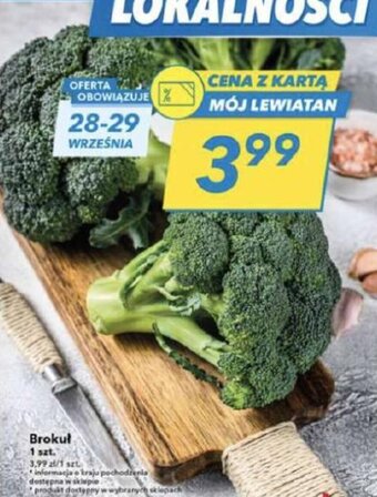 Lewiatan Brokuł 1 szt. oferta