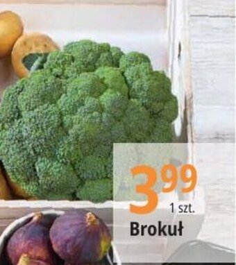 E.Leclerc Brokuł 1 szt. oferta