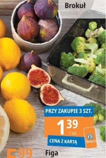 E.Leclerc Figa 1 szt. oferta
