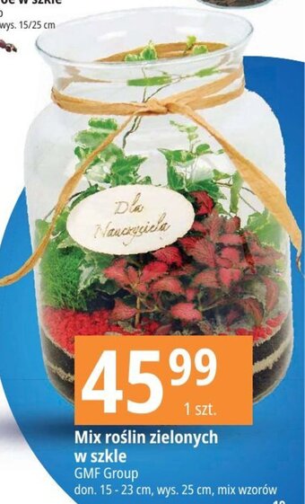 E.Leclerc Mix roślin zielonych w szkle GMF Group oferta