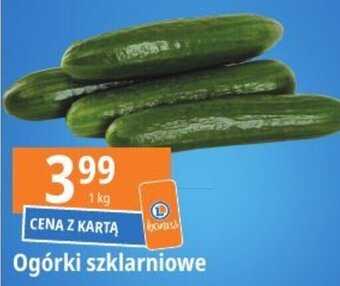 E.Leclerc Ogórki szklarniowe 1 kg oferta