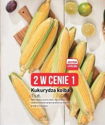 Stokrotka Market Kukurydza kolba 1szt. oferta