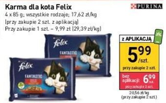 Stokrotka Market Karma dla kota Felix oferta