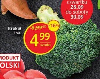 Delikatesy Centrum Brokuł 1 szt. oferta