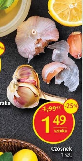 Delikatesy Centrum Czosnek 1 szt. oferta