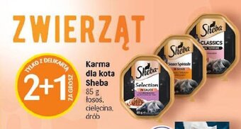 Delikatesy Centrum Karma dla kota Sheba 85 g oferta