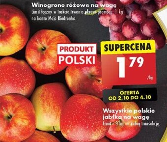 Biedronka Wszystkie polskie jabłka na wagę 1 kg oferta