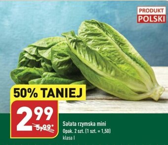 ALDI Sałata rzymska mini Opak. 2 szt. oferta