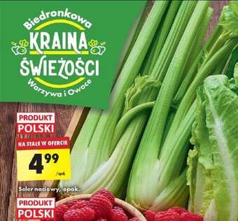 Biedronka Seler naciowy opak oferta
