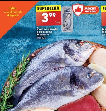 Biedronka Świeża dorada patroszona Marinero 100g oferta