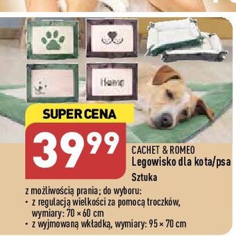 ALDI Legowisko dla kota 70 x 60 cm oferta