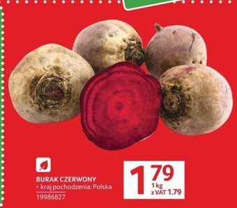 Selgros BURAK CZERWONY 1kg oferta