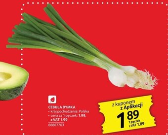 Selgros CEBULA DYMKA oferta
