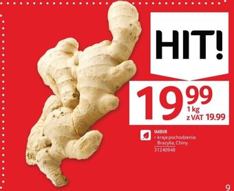Selgros IMBIR 1kg oferta