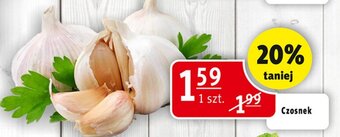 Prim Market Czosnek oferta