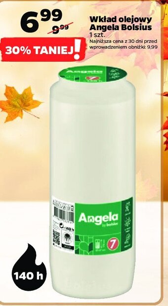 Netto Wkład olejowy 7 dni oferta